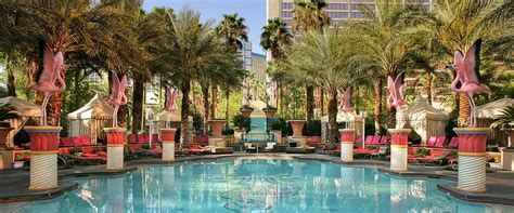 lv by the pool on the go|flamingo las vegas pool prices.